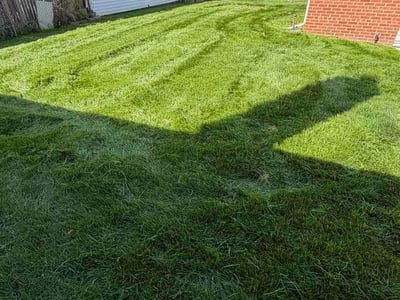 Lawn Care service in Wyandotte, 48192