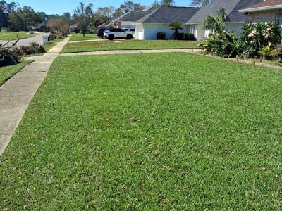 Lawn Care service in Cantonment, 32533