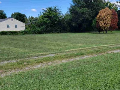 Lawn Care service in Charles City, 23030