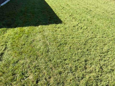 Lawn Care service in Groveport, 43125