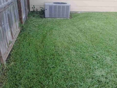Lawn Care service in La Porte, 77571