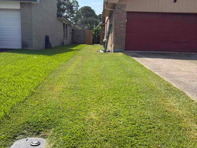 Lawn Care service in La Porte, 77571