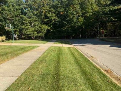 Lawn Care service in Okemos, 48864