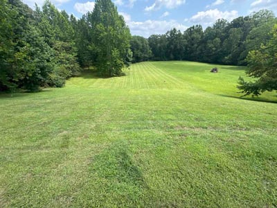 Lawn Care service in Tysons, 22182