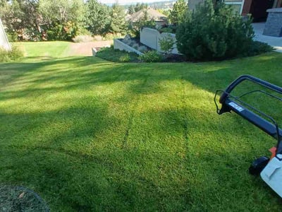 Lawn Care service in Spokane, 99201