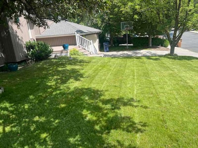 Lawn Care service in Spokane, 99201