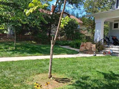 Lawn Care service in Tysons, 22182