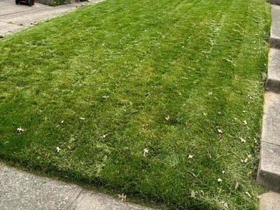 Lawn Care service in Trenton, 45067