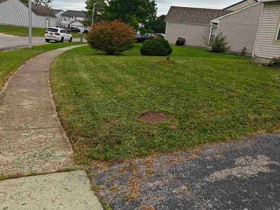 Lawn Care service in Mount Gilead, 43338