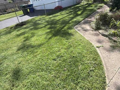 Lawn Care service in Mount Gilead, 43338