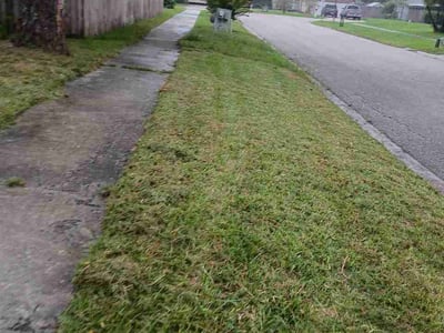 Lawn Care service in Coral Springs, 33065