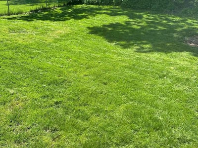 Lawn Care service in Grand Ledge, 48837