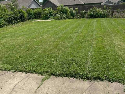 Lawn Care service in Brigham City, 84302