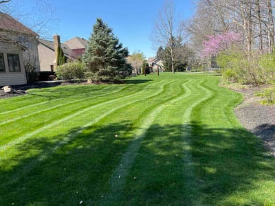 Lawn Care service in Gahanna, 43230