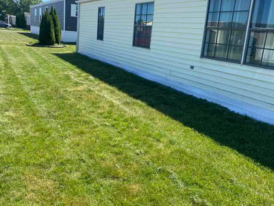 Lawn Care service in Clinton Township, 48036