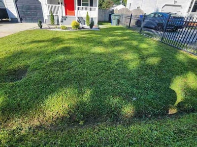 Lawn Care service in Norfolk, 23510