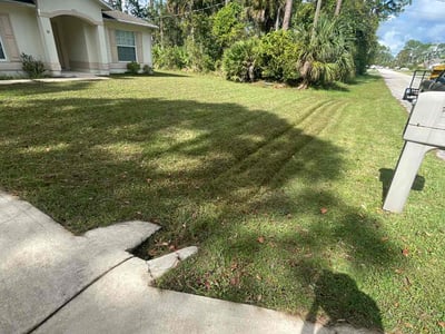 Lawn Care service in Flagler Beach, 32136