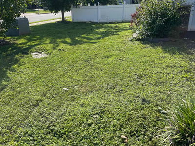 Lawn Care service in Culpeper, 22701
