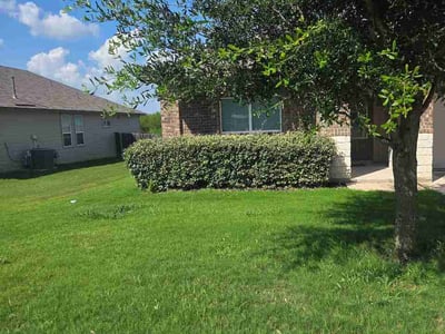Lawn Care service in Universal City, 78148