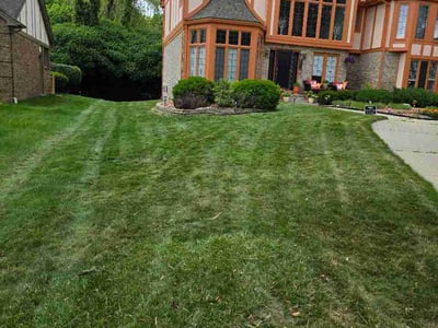 Lawn Care service in Clarkston, 48346