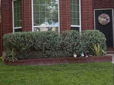 Lawn Care service in La Vernia, 78121