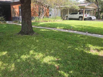 Lawn Care service in Universal City, 78148