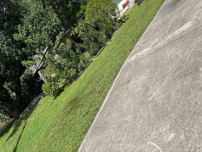 Lawn Care service in St Cloud, 34769