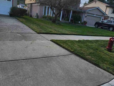 Lawn Care service in Wixom, 48393