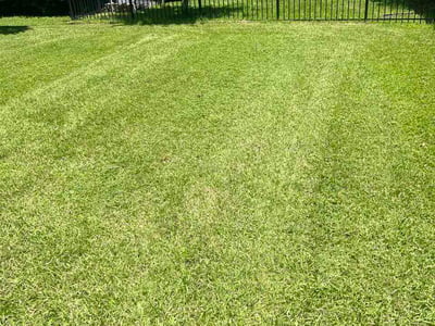 Lawn Care service in St Cloud, 34769