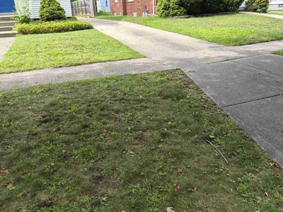 Lawn Care service in Harrison Township, 48045