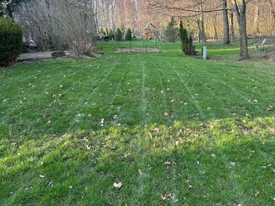 Lawn Care service in Hightstown, 08520