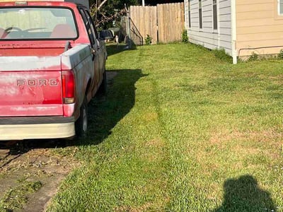Lawn Care service in Pasadena, 77506