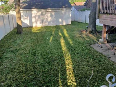 Lawn Care service in Spencer, 01562