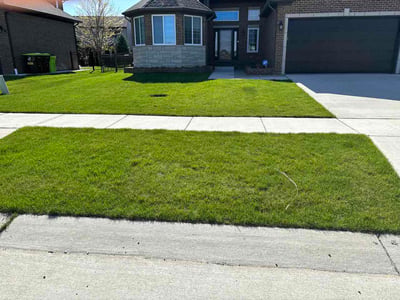 Lawn Care service in Macomb, 48044