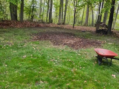 Lawn Care service in Macomb, 48044
