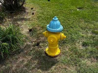 Lawn Care service in Woodford, 22580