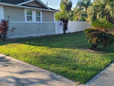 Lawn Care service in Pine Hills, 32808