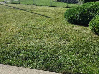 Lawn Care service in Pinckney, 48169