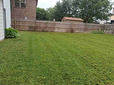 Lawn Care service in Live Oak, 78233