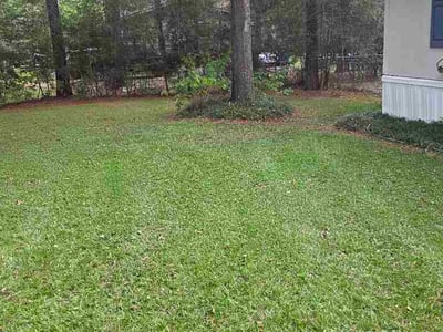 Lawn Care service in Willis, 77378