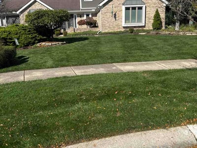 Lawn Care service in West Bloomfield, 48323