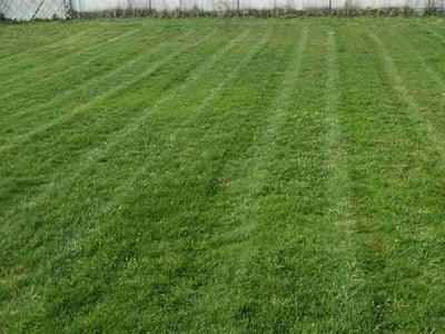 Lawn Care service in West Bloomfield, 48323
