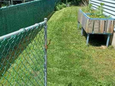 Lawn Care service in Waterbury, 06710