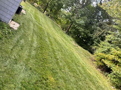 Lawn Care service in Waterbury, 06710