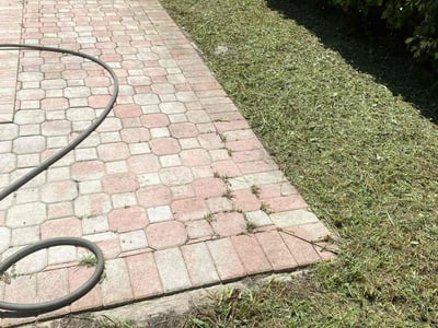 Lawn Care service in Plantation, 33317