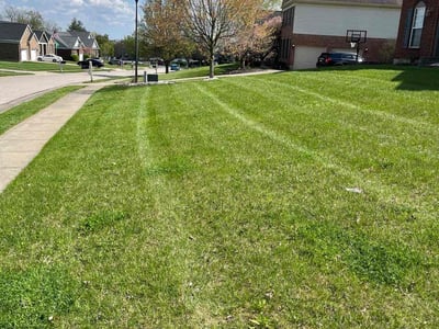 Lawn Care service in Dumfries, 22026