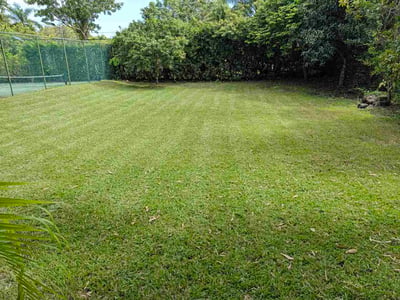 Lawn Care service in Opa Locka, 33054