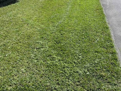 Lawn Care service in Hialeah, 33013