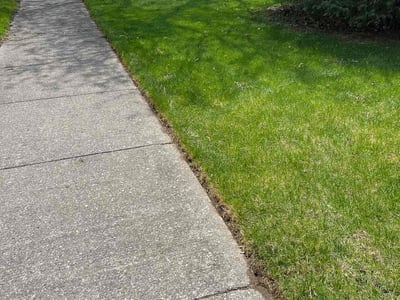Lawn Care service in Northville, 48167
