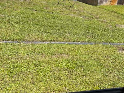 Lawn Care service in Mims, 32754